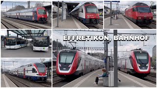 Züge beim Bahnhof Effretikon  Trains at Effretikon station 2023 [upl. by Reese]