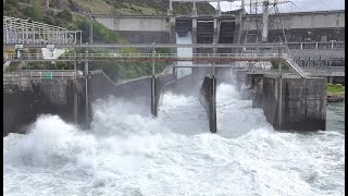 BREAKING NEWS Roxburgh Dam spillway  Clutha River after heavy Rain  by Drone [upl. by Beverlie460]