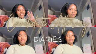 CANDIDATE ATTORNEY DIARIES  Consultations amp Client Etiquette law storytime lawstudentvlog vlog [upl. by Scheld]