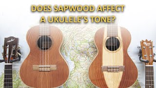 Does Sapwood Influence a Ukuleles Tone [upl. by Kipton]