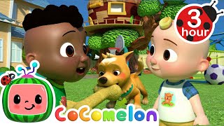 Opposite Song  CoComelon  Codys Playtime  Songs for Kids amp Nursery Rhymes [upl. by Tniassuot]