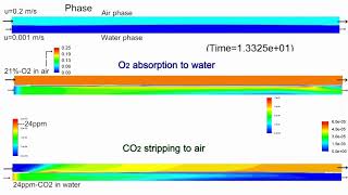 Gas absorption and desorption between airwater twophase flow [upl. by Atterol]