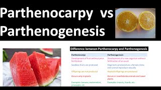 Parthenocarpy vs Parthenogenesis [upl. by Burk]