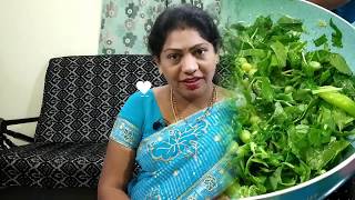 Aakukooralatho Samalu Rice  song with recipe ఆకుకూరలతో సామలు రైస్ [upl. by Delwin]