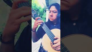 Milonga  Jorge Cardoso shorts shortyoutube short video guitar musica arte instrumental ab [upl. by Eenwat737]