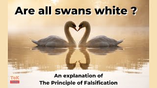 Are all swans white  Principle of Falsification [upl. by Lorry639]