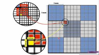 Using Hemocytometer and virtual LAbs عد الخلايا باستخدام الهيموسيتومتر و المعامل الافتراضية [upl. by Cate]