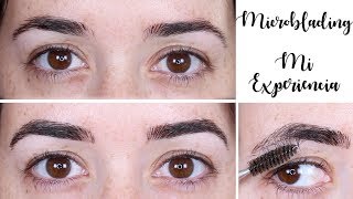 MICROBLADING DE CEJAS  ¿QUÉ ES ¿DURACIÓN ¿PRECIO ¿DUELE [upl. by Seeto]