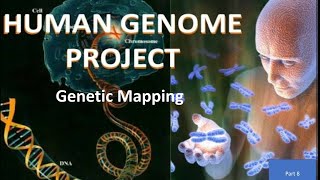 Genetic Mapping HGP8 [upl. by Odrawde]