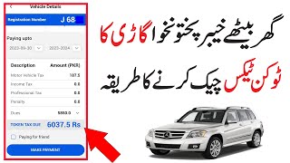 kpk vehicle token tax online check  kpk excise online token tax [upl. by Drew]