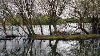 The Old Castle Pond  Llanelli [upl. by Verger]