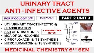 Urinary tract anti infective agents  Medicinal Chemistry 3  Pharmacology 6th semester [upl. by Knepper]