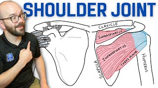 Anatomy of the Shoulder Joint  Bones Ligaments and Muscles [upl. by Luby302]