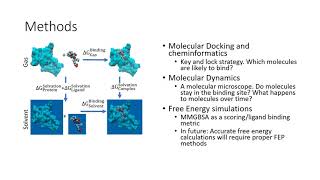 SihleThabetheMScScreening FDAapproved drugs to hemozoin biomineralization inhibitors [upl. by Aiet57]