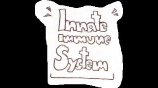 Innate Immune system [upl. by Flavio]