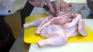 Deboning a Whole Chicken [upl. by Weixel]