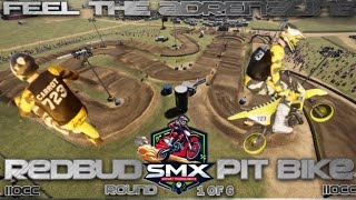 Pit Bike Carnage at Red Bud SMX eSports Round One [upl. by Gibbs]