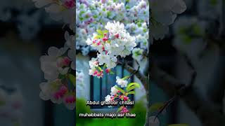 late Abdul ghafoorsong chilasi songGBsongfamous Shina song [upl. by Ainadi471]