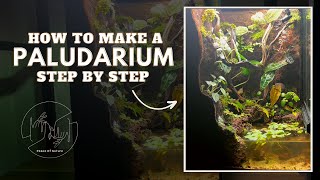 How To Build A Paludarium Step By Step 2023 [upl. by Asyl445]