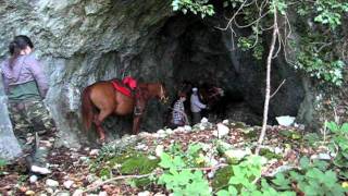 Cavalli quotIl Gauchoquot Monte San Vicino grotte Le Costarelle I parte [upl. by Corsiglia]