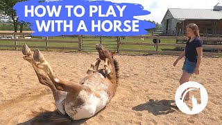 HOW TO PLAY WITH A HORSE [upl. by Naylor]