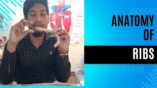 Anatomy of Typical Ribs True and False Ribs Typical and Atypical Ribs Bangla Lecture [upl. by Laynad]