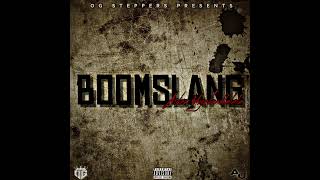 Boomslang  Aiden Uyabadlalela Feat OG Steppers [upl. by Kentigerma662]