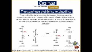 Isoenzimas  Enzimas Parte XII [upl. by Cowles705]