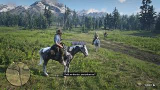 Red Dead Redemption 2  Stranger horse race Nokota vs Missiori Dapple Fox Trotter [upl. by Yhtir]