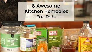 8 Awesome Kitchen Remedies for Dogs and Cats [upl. by Leimaj468]