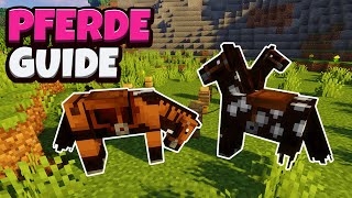 Minecraft  Pferde zähmen reiten amp züchten  116 Deutsch  German [upl. by Charmian]