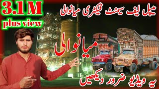 Maple leaf 🍁 Cement Factory iskanderabad️►Minawala►New video 2024 [upl. by Aita]