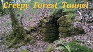 Creepy Tunnel found in the forest Mine explorers or the Knockers from Cornish folklore [upl. by Starlene]