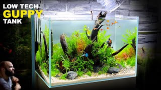 THE GUPPY TANK LOW TECH LOW BUDGET AQUASCAPE TUTORIAL [upl. by Kos]