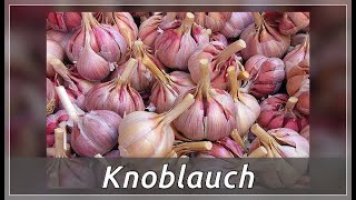 Knoblauch – heilende Eigenschaften [upl. by Assiralk]