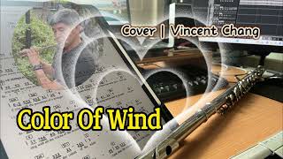 Color Of Wind  Flute Cover  Vincent Chang [upl. by Yeleak]