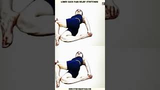 Lower Back Pain Relief Stretching Exercises lowerbackpain shorts stretching fitnessmantram [upl. by Huston]