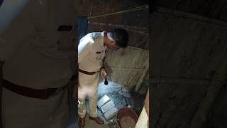 Rescue team police rito03vlog biharpolice rescue team dsp upssc motivation upsc ias ips [upl. by Amatruda786]