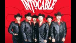 INTOCABLE contigo letra [upl. by Eedyah581]