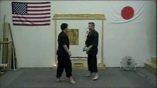 Kosho ryu kempo bunkai of the Nihanchi kata [upl. by Ern483]