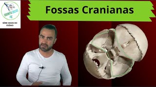 Ossos do crânio fossas cranianas 58 [upl. by Ydospahr]