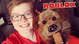 Playing Roblox with Hacker the talking dog [upl. by Goldarina533]