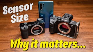 WHY SENSOR SIZE MATTERS  Do you really need a full frame camera in 2021 [upl. by Gustafsson]