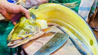 Amazing Wallago Attu Boal Fish Cutting Live Techniques  Expert Quick Tips amp Tricks [upl. by Rickard779]