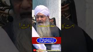 Ummat Ka Sona Bhi Bais Rehmat🥰😍 Peer Zulfiqar Ahmed Naqshbandi❤️ shorts like share subscribe [upl. by Alden]