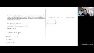 Hardy Weinberg Practice Problems Checkin Assignment  2 [upl. by Adaj494]