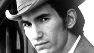 Townes Van Zandt  Greensboro Woman [upl. by Anigar]