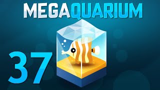 Megaquarium  Part 37  ORGANIZATION [upl. by Trstram161]