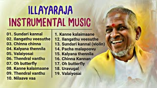 Ilayaraja Instrumental Music amp BGMs  ilayaraja instrumental music collectionFlute Violin veenai [upl. by Berthoud837]