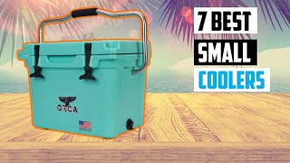 Best Small Coolers of 2024  TOP 7 Best Small Coolers of 2024 [upl. by Llerrahs]